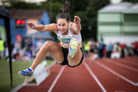 Maja Bedrač