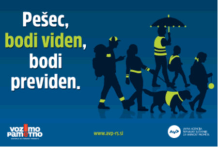 Plakat Bodi viden