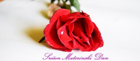 materinski dan.png